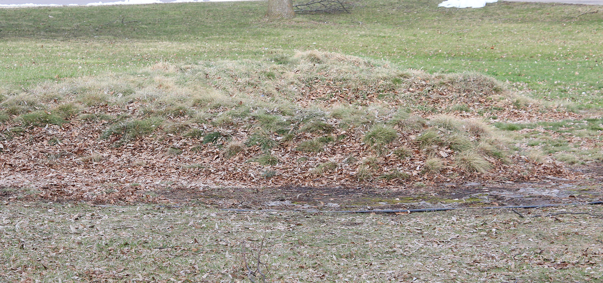 Panther mound in mauston
